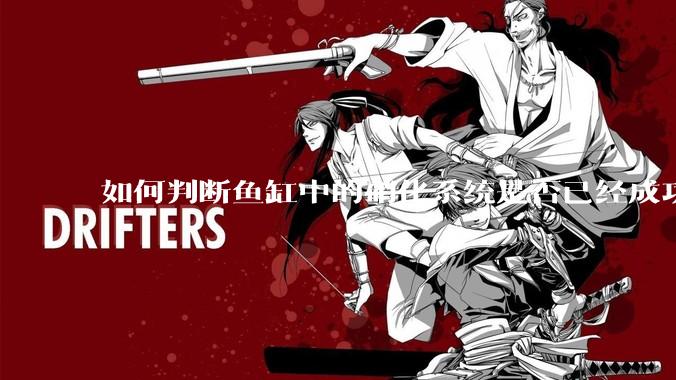如何判断鱼缸中的硝化系统是否已经成功建立？
